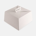 Cajas de Torta